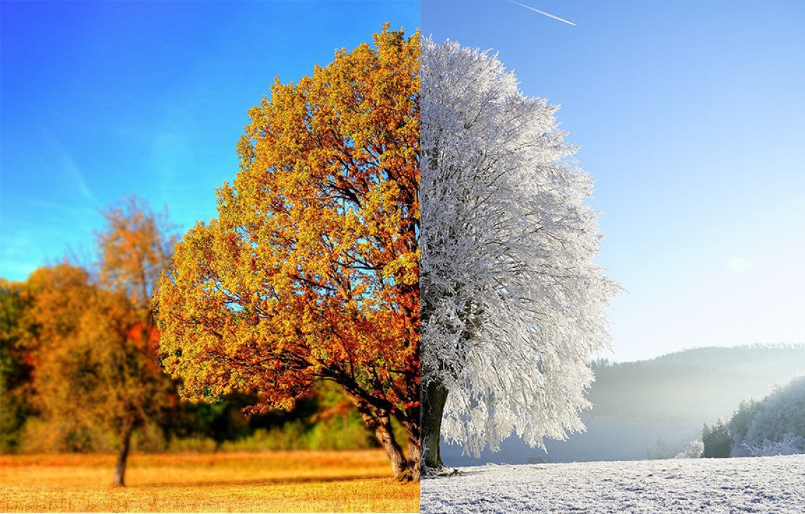 Autumn & Winter Essential Oil Blends – Aroma Energy