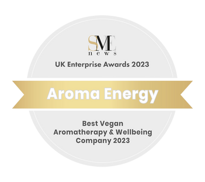 SME 2023 award