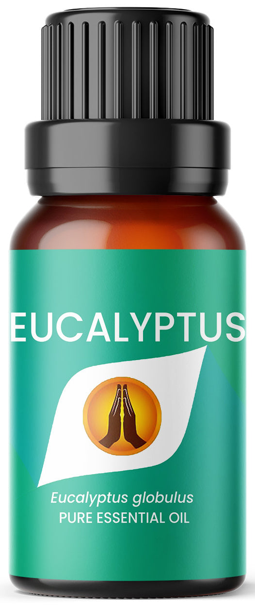 Eucalyptus Pure Essential Oil - Aroma Energy