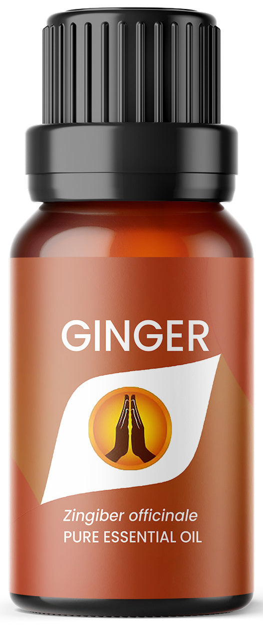 Ginger Pure Essential Oil - Aroma Energy