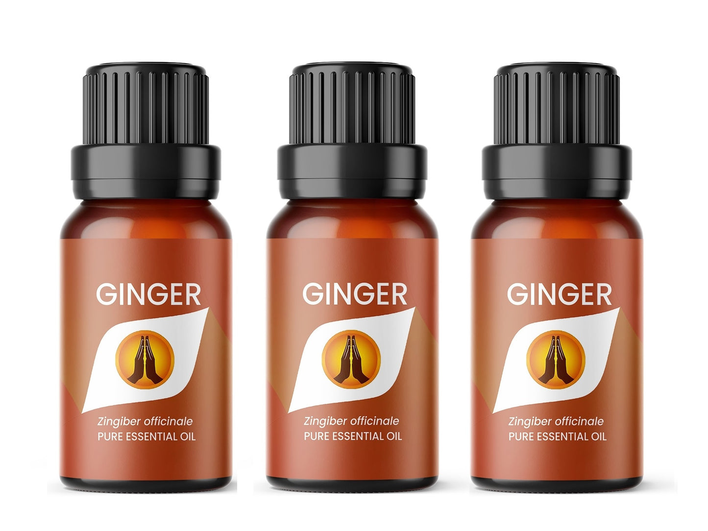 Ginger Pure Essential Oil - Aroma Energy