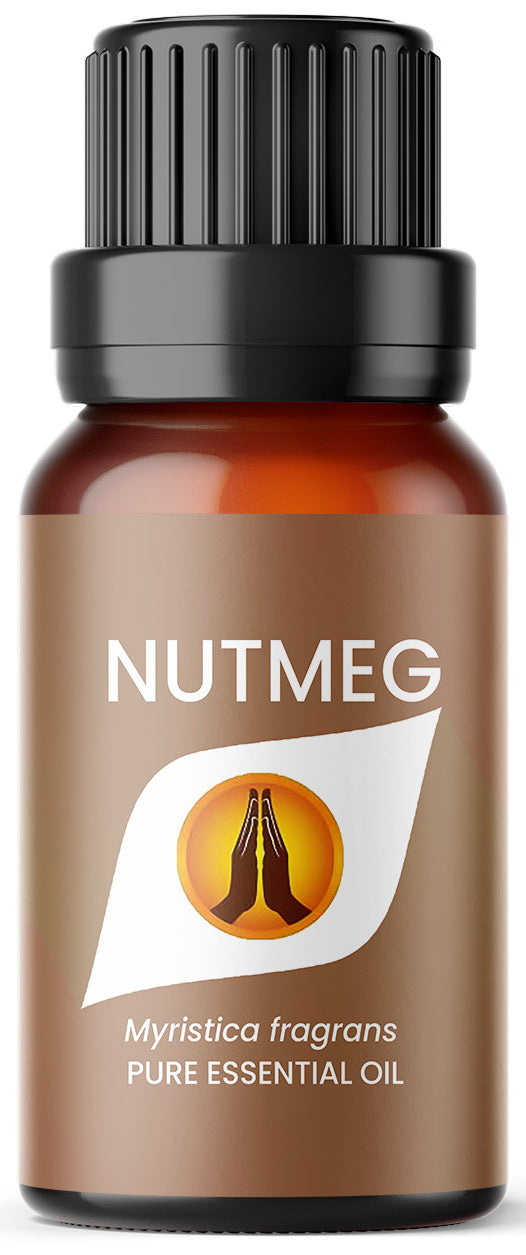 Nutmeg Pure Essential Oil - Aroma Energy