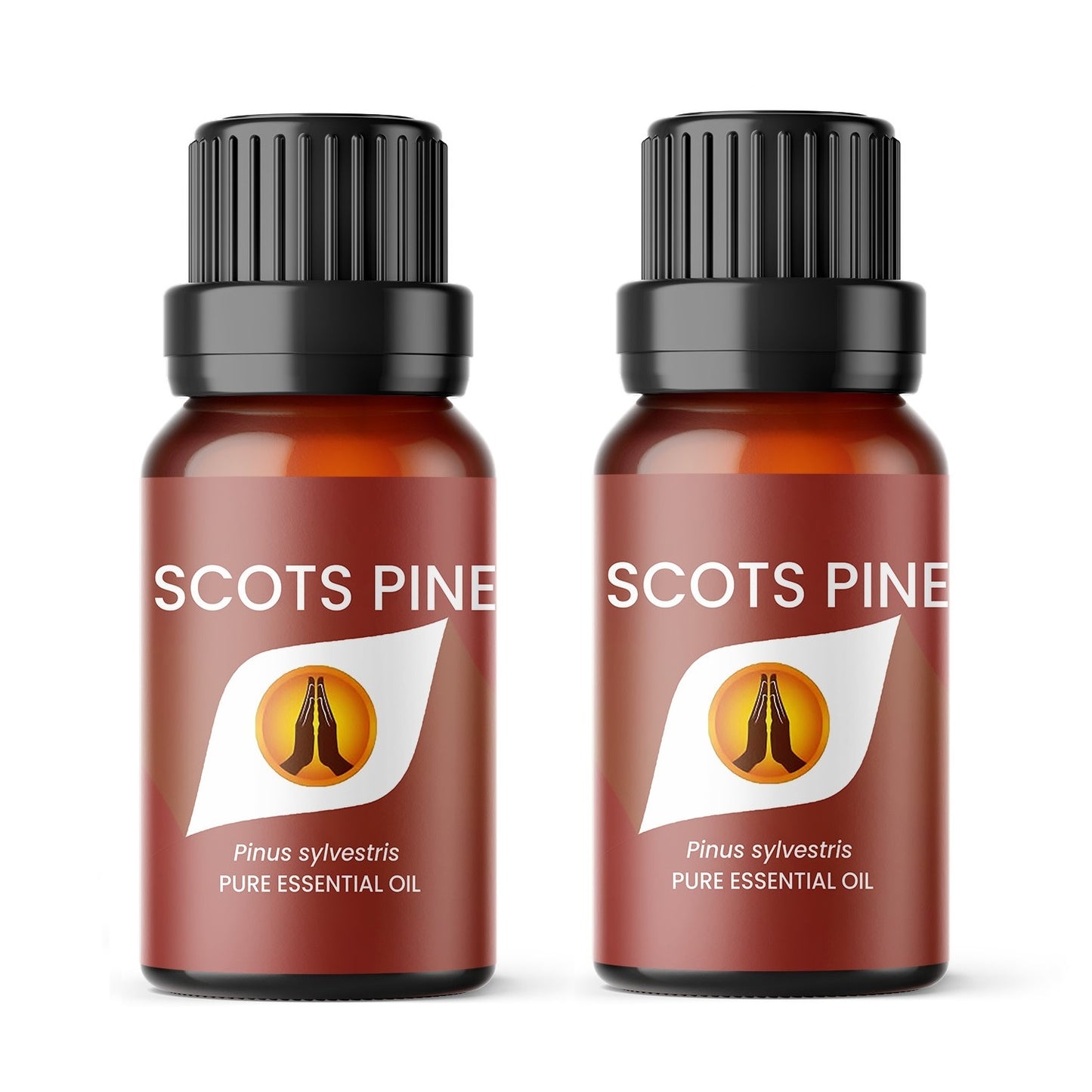 Scots Pine Pure Essential Oil - Aroma Energy
