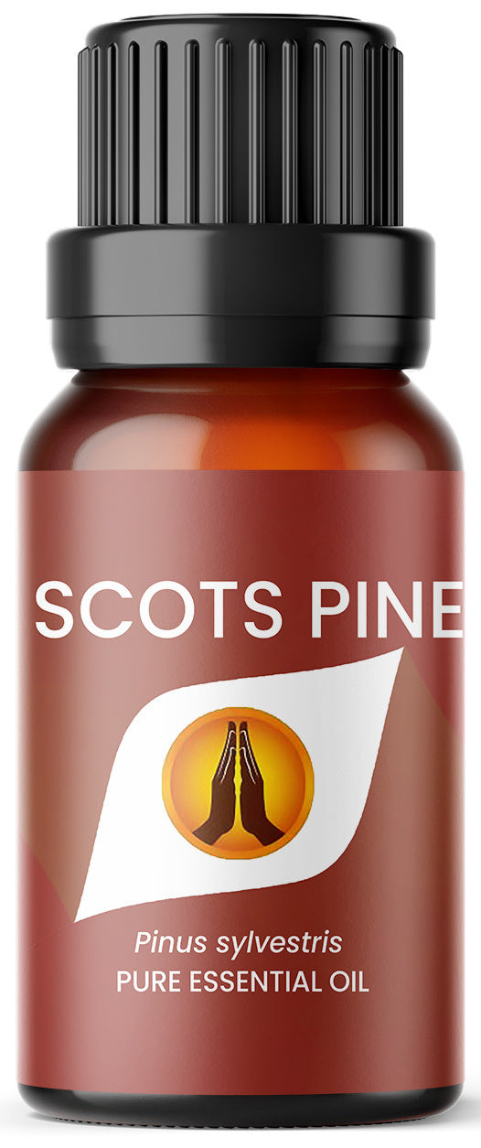 Scots Pine Pure Essential Oil - Aroma Energy