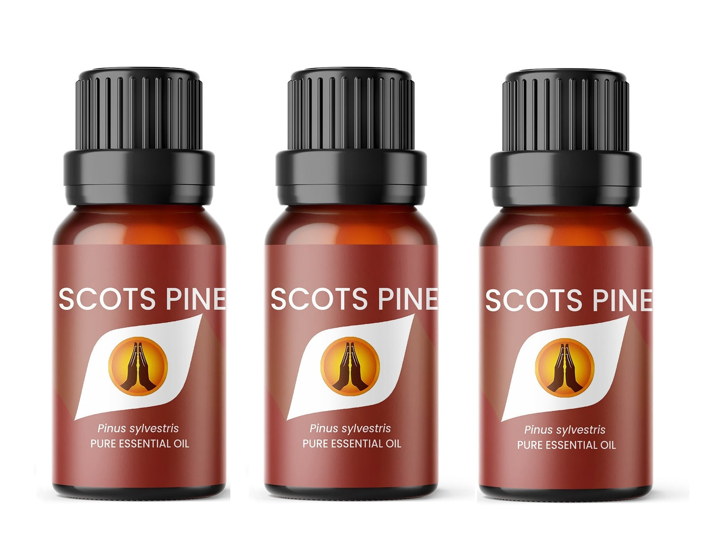 Scots Pine Pure Essential Oil - Aroma Energy