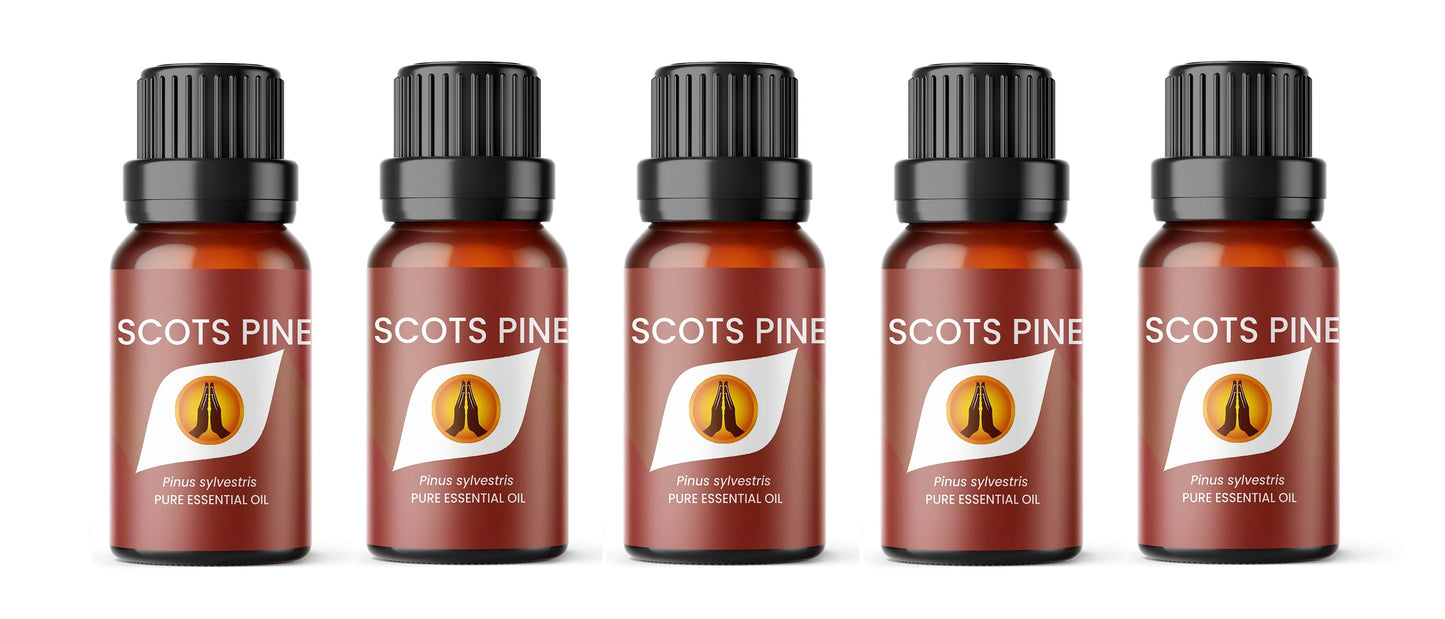 Scots Pine Pure Essential Oil - Aroma Energy