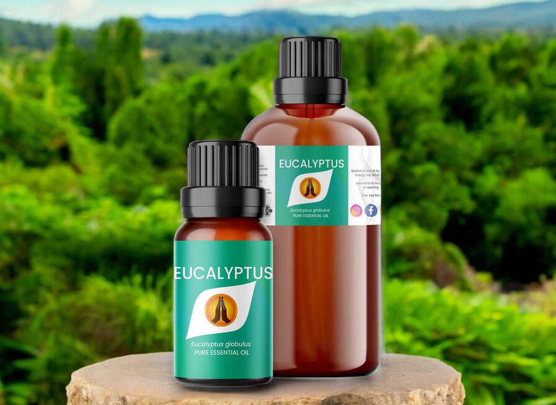 eucalyptus pure essential oil 10ml and 100ml bottle