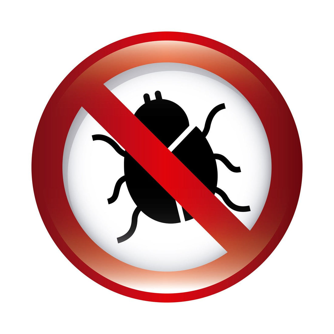 Essential Oils for Bed Bug Treatment - Aroma Energy