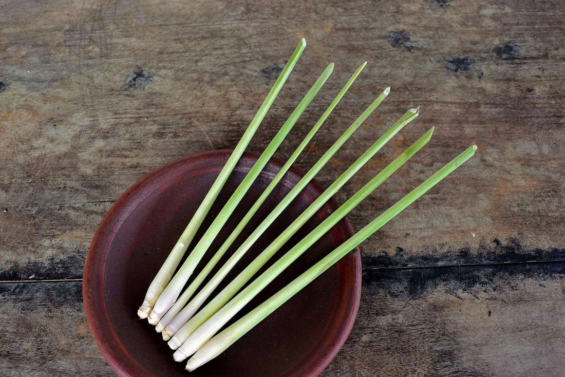 lemongrass leaves at aroma energy