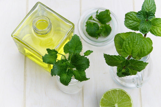 The Comprehensive Guide to Peppermint Essential Oil: Uses and Safety Tips - Aroma Energy