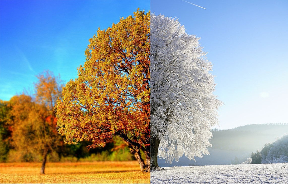 Autumn & Winter Essential Oil Blends – tagged