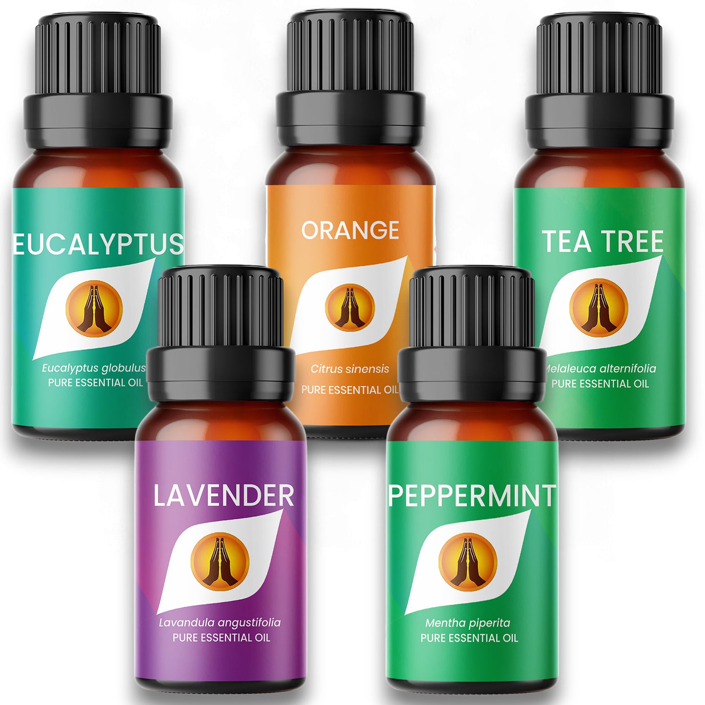 Best Sellers Essential Oil Set