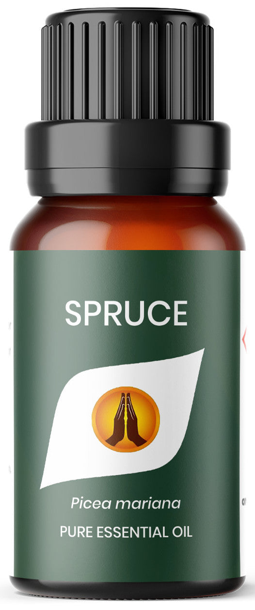 Spruce Pure Essential Oil - Aroma Energy