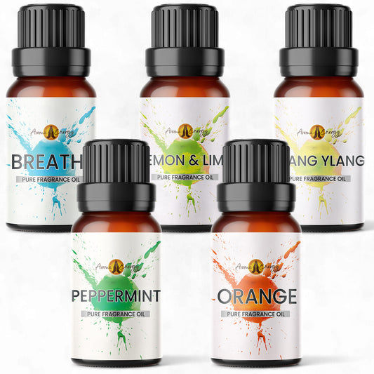 Scent Training Set Fragrance Oil Set