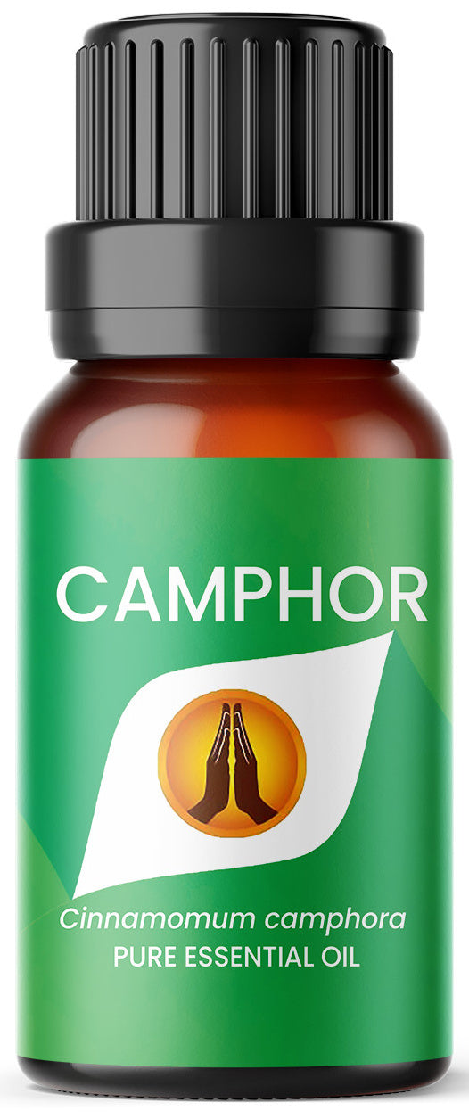 Camphor Pure Essential Oil - Aroma Energy