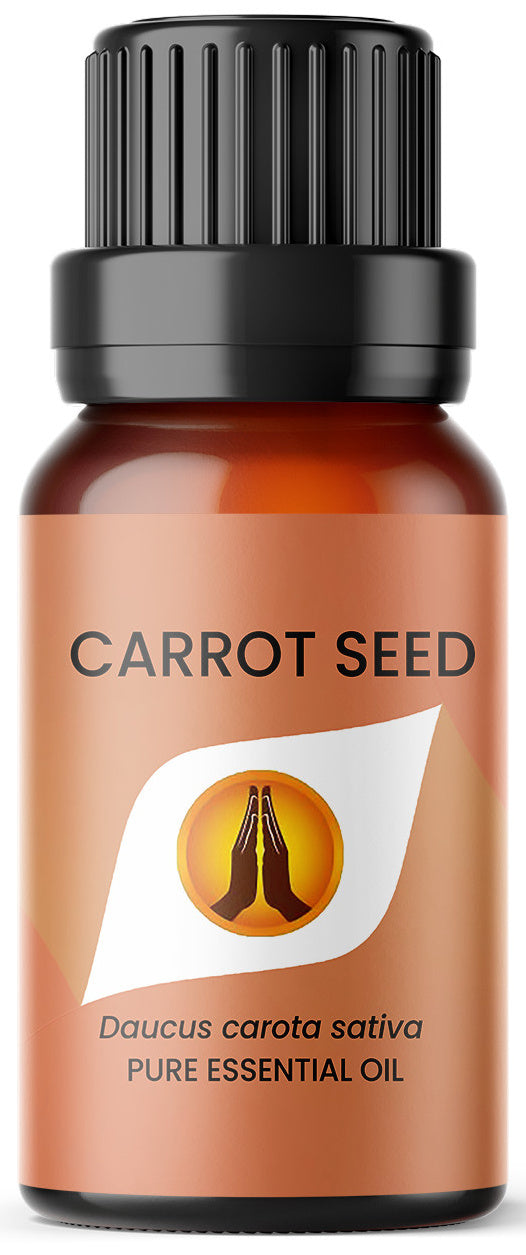 Carrot Seed Pure Essential Oil - Aroma Energy