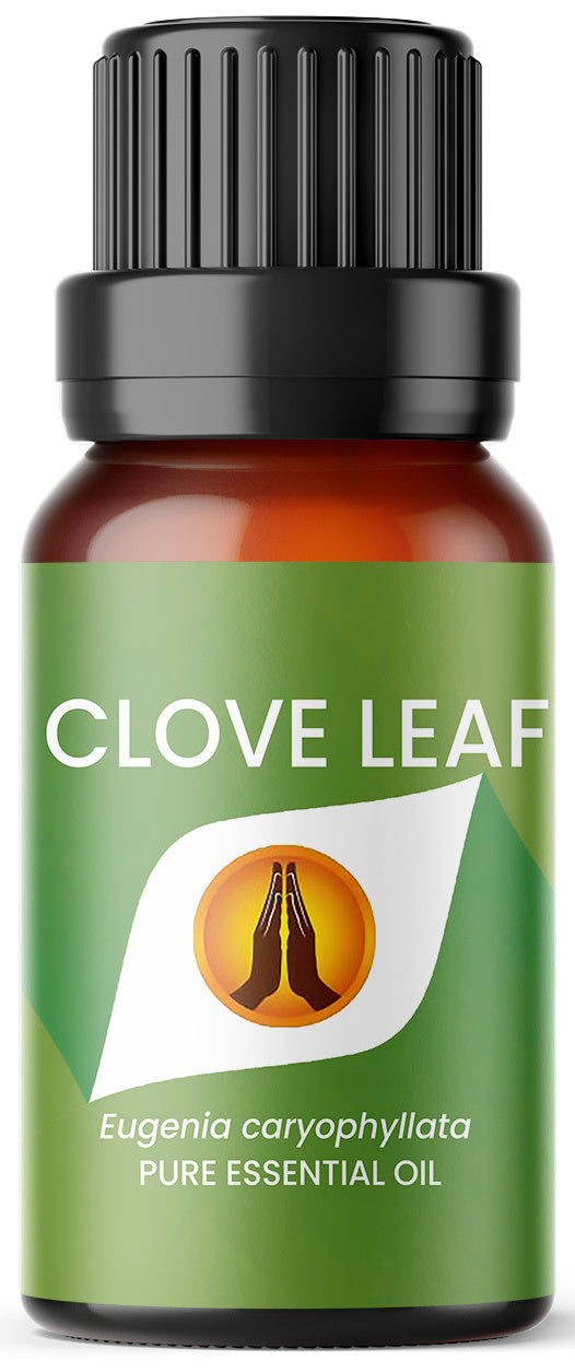 Clove Leaf Pure Essential Oil - Aroma Energy