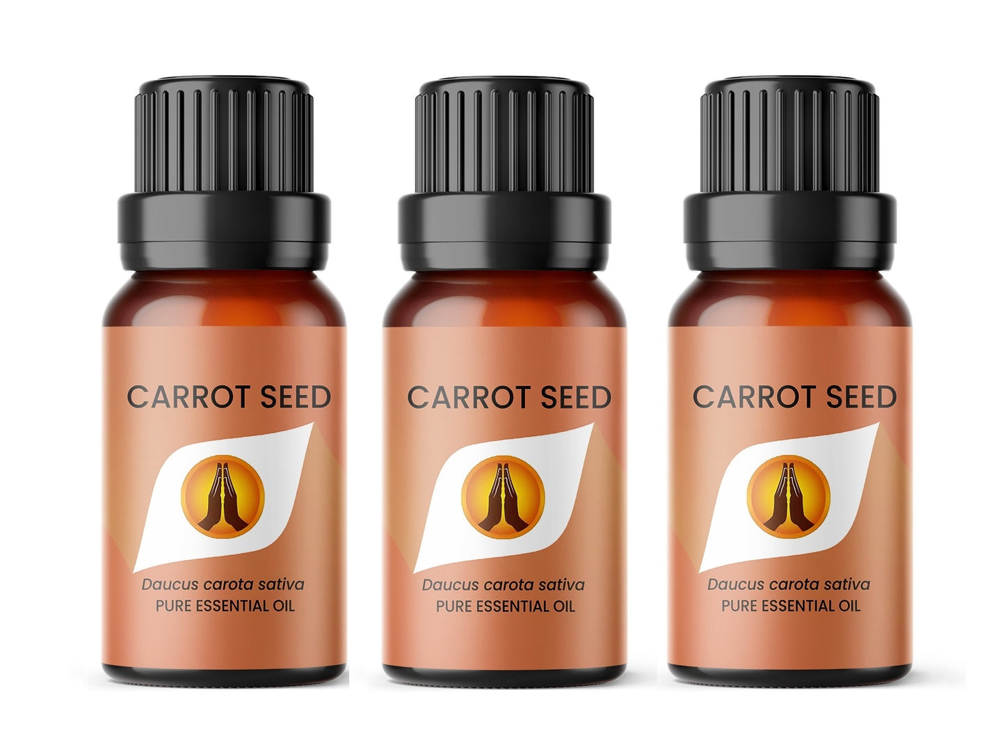 Carrot Seed Pure Essential Oil - Aroma Energy