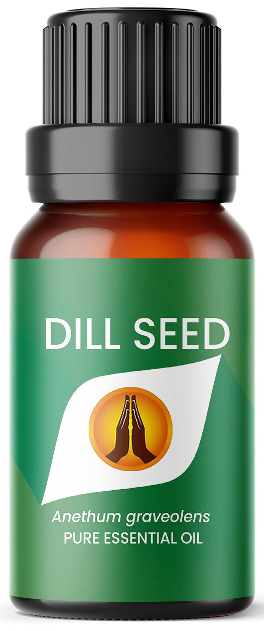 Dill Seed Pure Essential Oil - Aroma Energy
