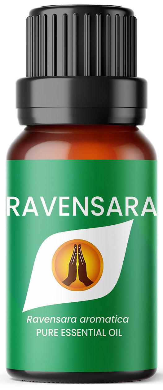 Ravensara Pure Essential Oil - Aroma Energy