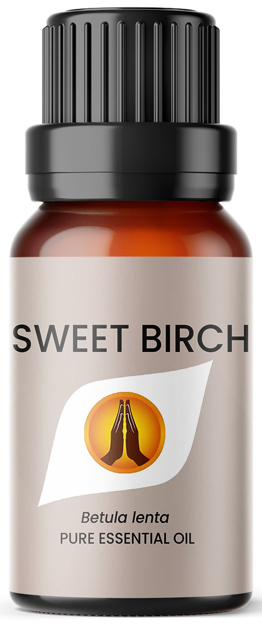 Sweet Birch Essential Oil (White Birch) - Aroma Energy