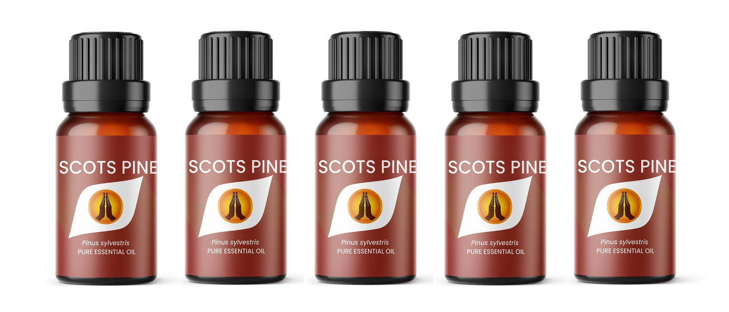 Scots Pine Pure  Essential Oil - Aroma Energy