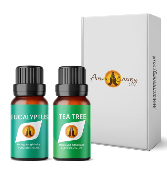 Eucalyptus & Tea Tree Essential Oil Aromatherapy Gift Box - Aroma Energy